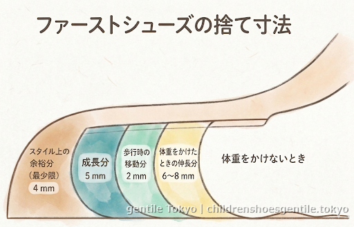 ファーストシューズの捨て寸の図。スタイル上の余裕分・成長分・歩行時の移動分・体重をかけたときの伸長分を合わせた、つま先の空きスペースの説明。